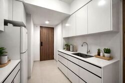 Parc Botannia (D28), Condominium #560139871